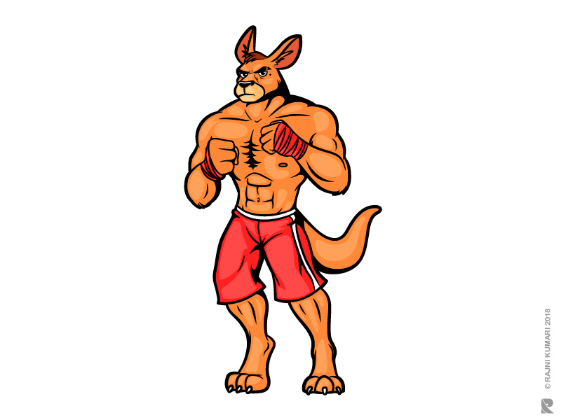 800x600 Fighting Kangaroo