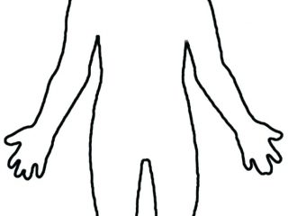320x240 Blank Picture Of Human Body Blank Human Body Encode Clipart