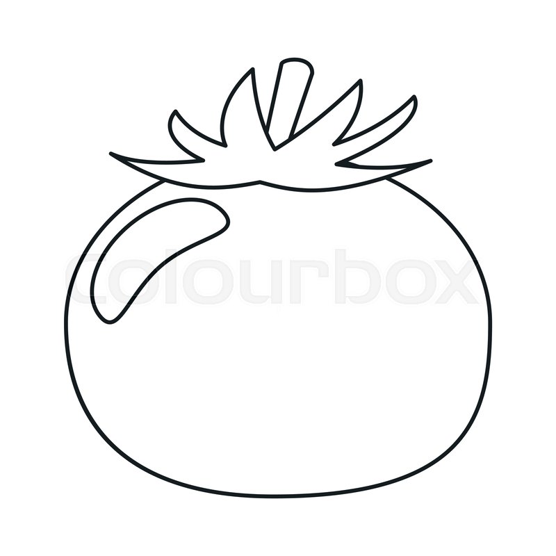 800x800 Tomato Vegetable Healthy Food Outline Stock Vector Colourbox