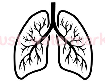 340x270 Human Heart Line Drawing Jpgsvg Real Hand Drawing For Etsy