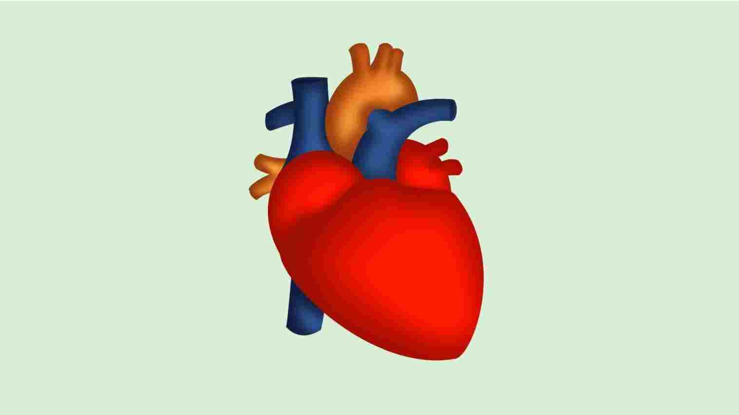 1517x853 simple human heart drawing simple human heart diagram drawing
