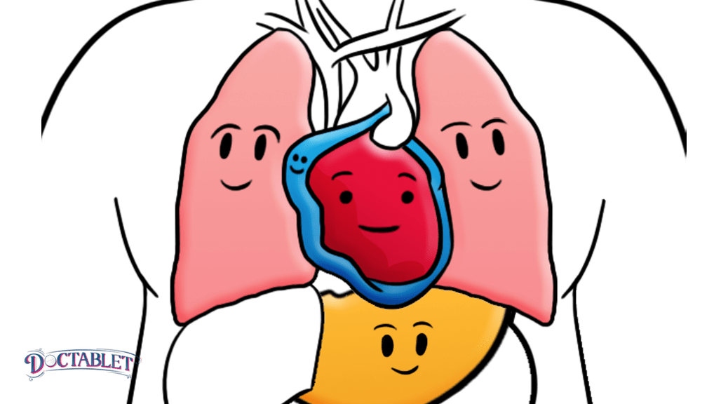 1038x576 Coronary Heart Disease Archives, Heart Attacks, Angina