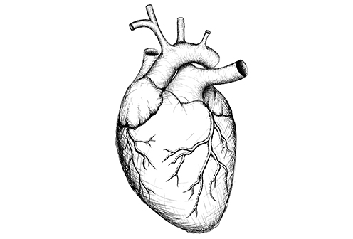 Heart Disease Drawing | Free download on ClipArtMag