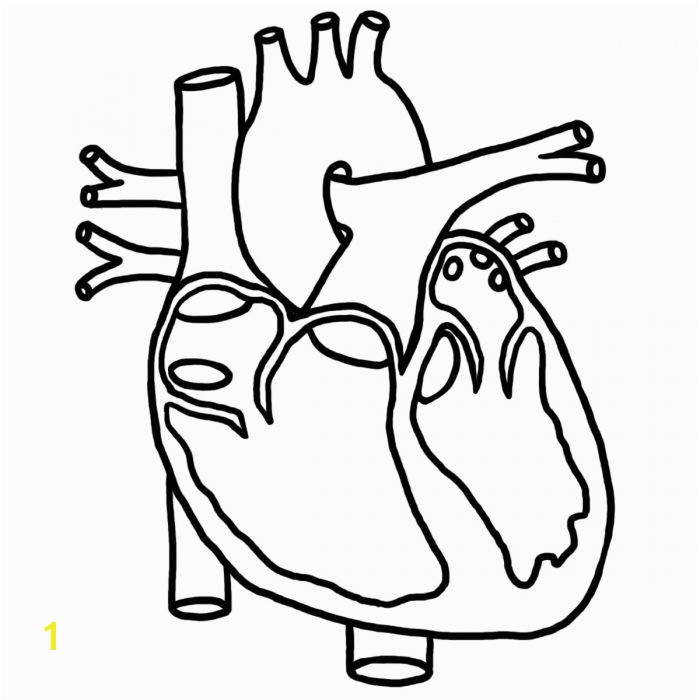Heart Drawing For Kids