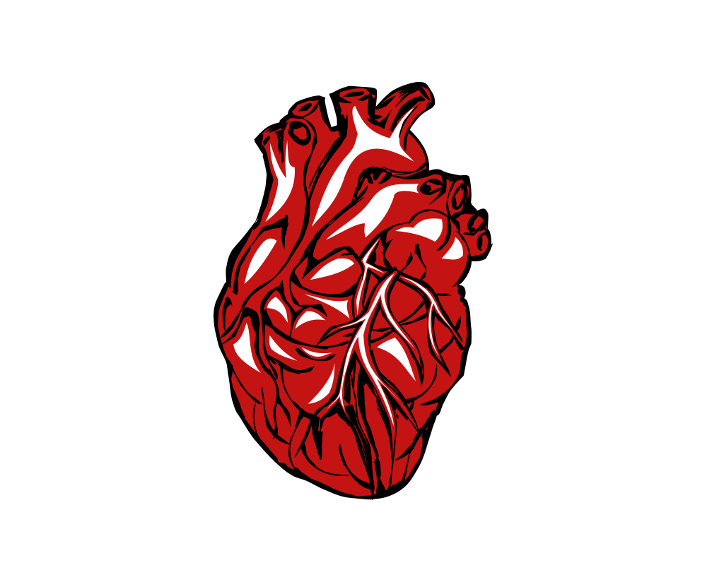 1000x824 Real Heart Png Clipart Transparent Without Background Image Pngheart