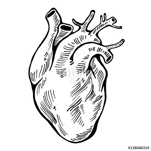 500x500 Human Heart Black Line, Tattoo Vector Illustration Stock Image