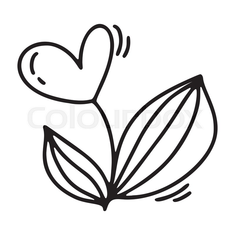 800x800 vector monoline flower with heart stock vector colourbox