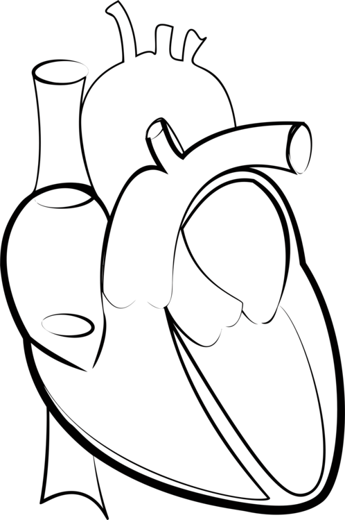 498x749 Drawing Line Art Heart Hartlijn Cc0