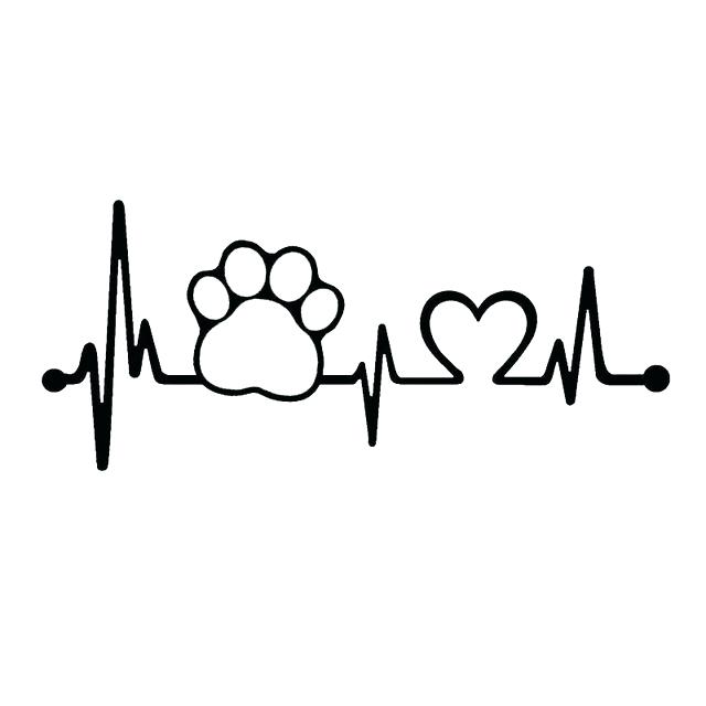 640x640 Heartbeat Monitor Line Georgepeppard