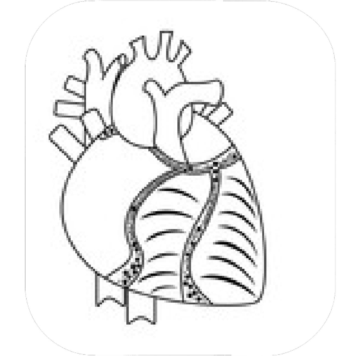 1200x1200 Designs Mein Mousepad Design Mousepad Selbst Designen