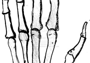 300x210 How To Draw A Skeleton Hand Step