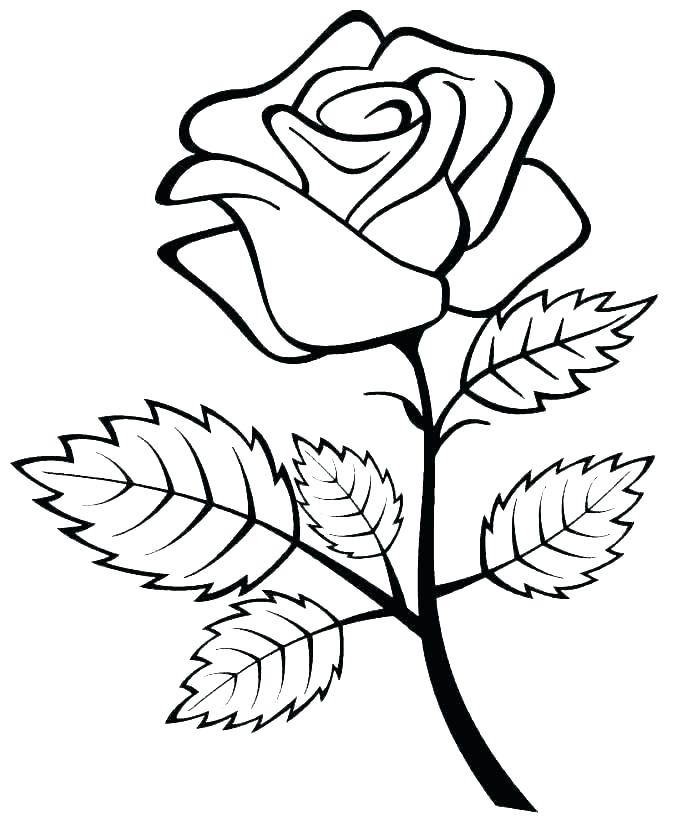 687x826 Rose Coloring Sheets Roses Coloring Pages Printable Heart