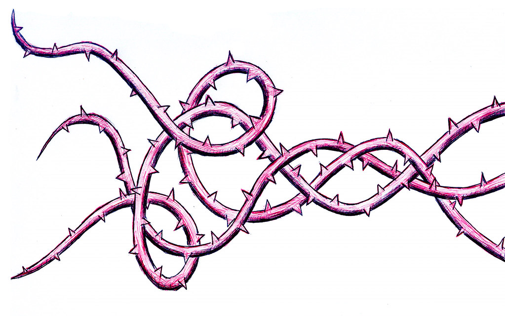 1023x641 Thorns In My Heart Damian Carroll