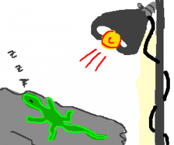 250x208 Lamp Drawing Heat, Picture