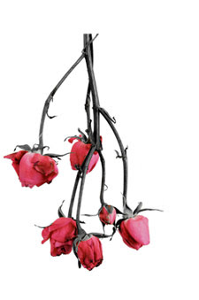 225x339 touching the art