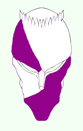 288x450 Heaven And Hell