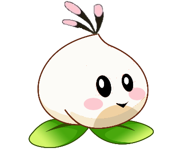 349x303 White Heavenly Peach