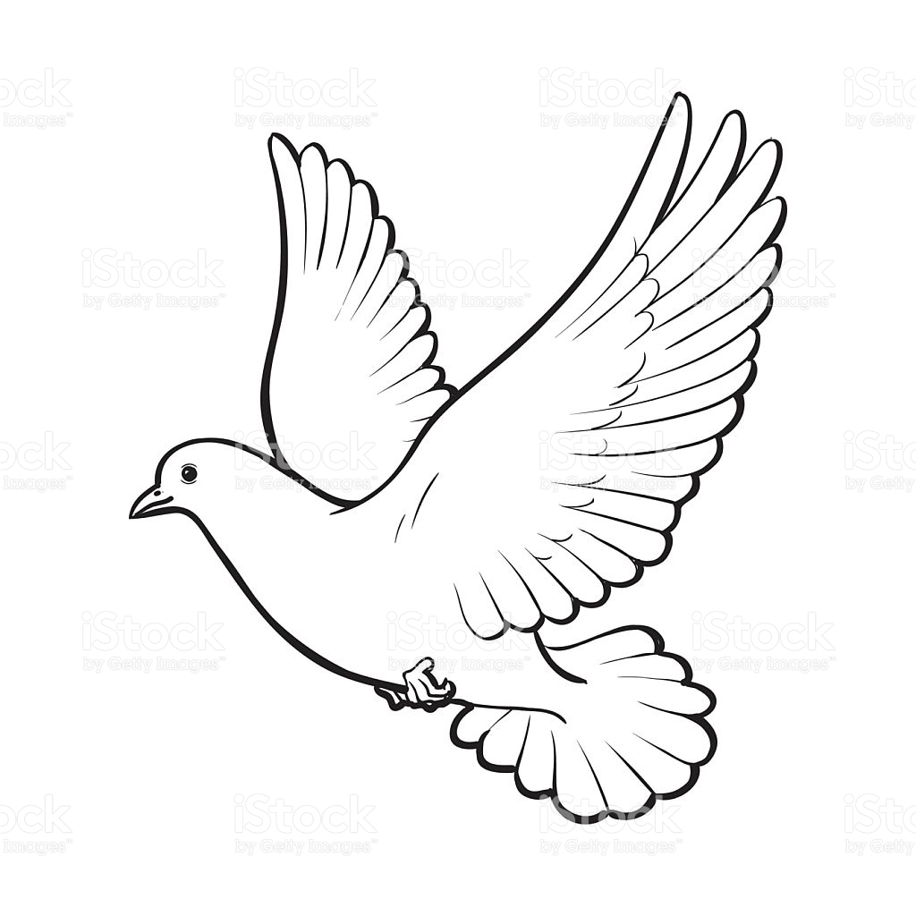 1024x1024 Heavenly Drawing Dove For Free Download