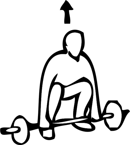 448x500 heavy weightlifting exercise instruction vector clip art public