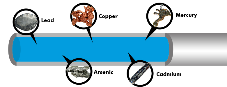 780x300 Health Risks Of Heavy Metals Apec Water