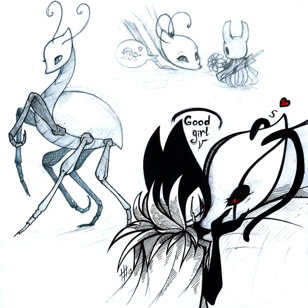 1024x1024 Sketch Hollow Knight