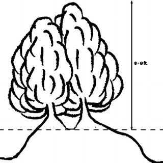 320x320 The Double Hedge Download Scientific Diagram