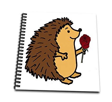 Hedgehog Cartoon Drawing