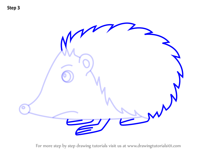 844x598 Learn How To Draw A Cartoon Hedgehog