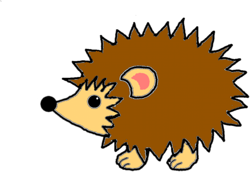 1006x691 How To Draw A Adult Hedgehog