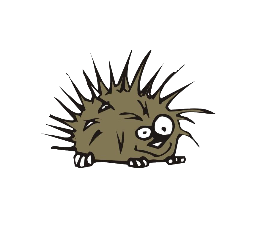 858x817 Collection Of Free Porcupine Drawing Adorable Hedgehog Download