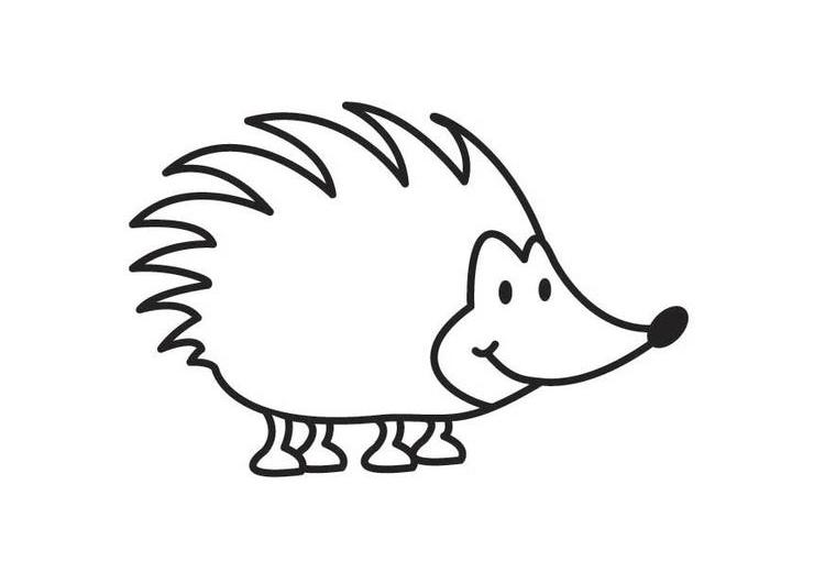 750x531 Hedgehog