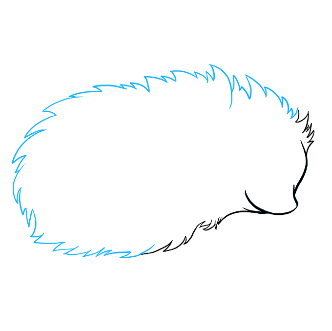 680x678 How To Draw A Hedgehog