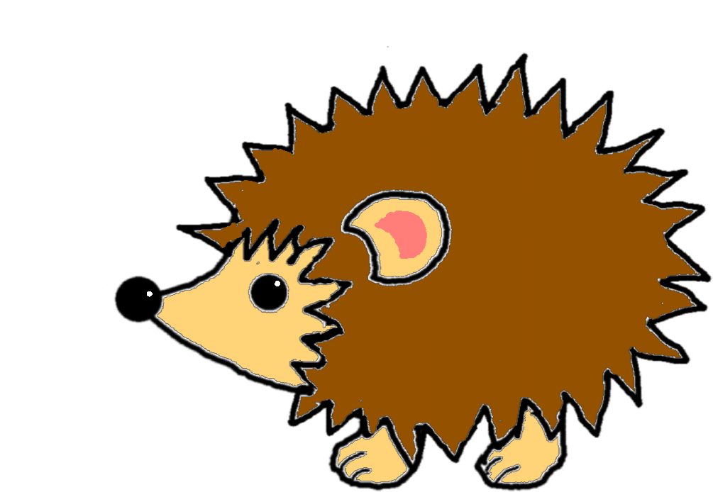 1005x694 How To Draw A Adult Hedgehog