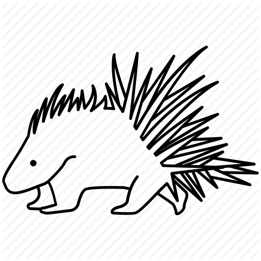 512x512 Hedgehog, Drawing, Illustration, Transparent Png Image Clipart