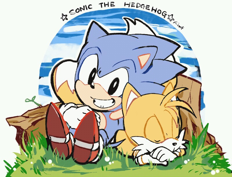 800x612 sonic e tails aimf sonic