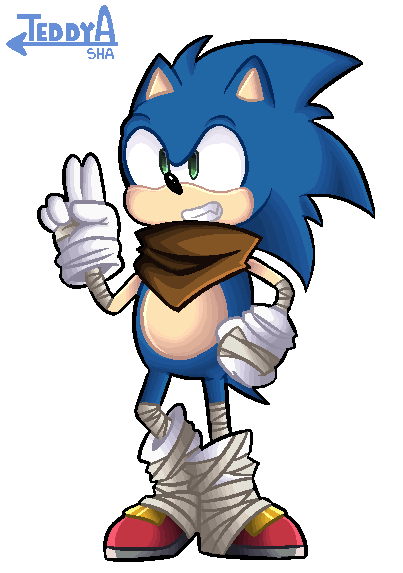 403x573 Sonic Boom Tumblr Posts