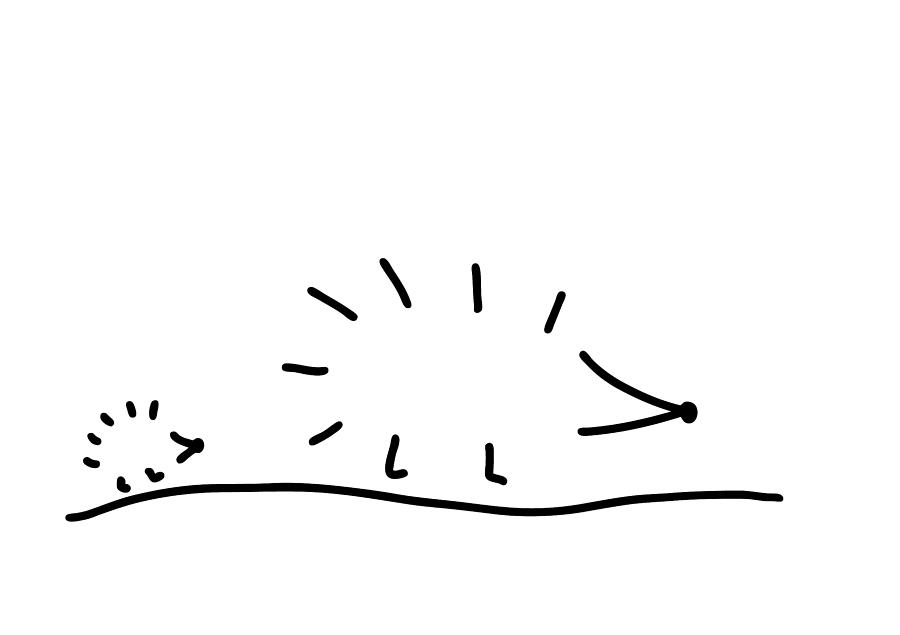 900x635 hedgehogs spur drawing