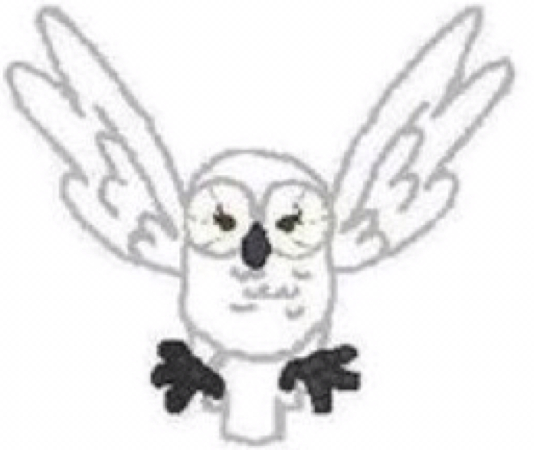 2048x1724 Hedwig Yuna's Princess Adventure Wikia Fandom Powered