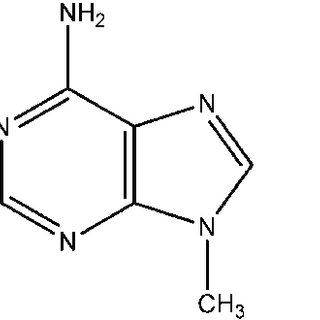 320x320 Chemical Structures And Atom Numbering Of Adenine