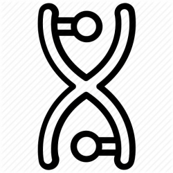 250x250 Dna Drawing, Picture