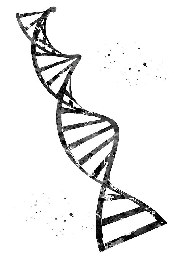 636x900 Double Helix Digital Art