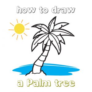 300x300 Drawing Of A Palm Tree