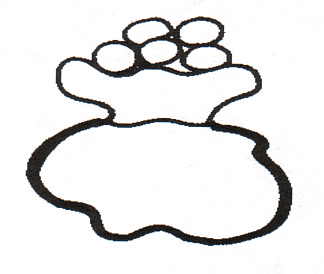 324x274 St Nicholas Center Draw And Tell