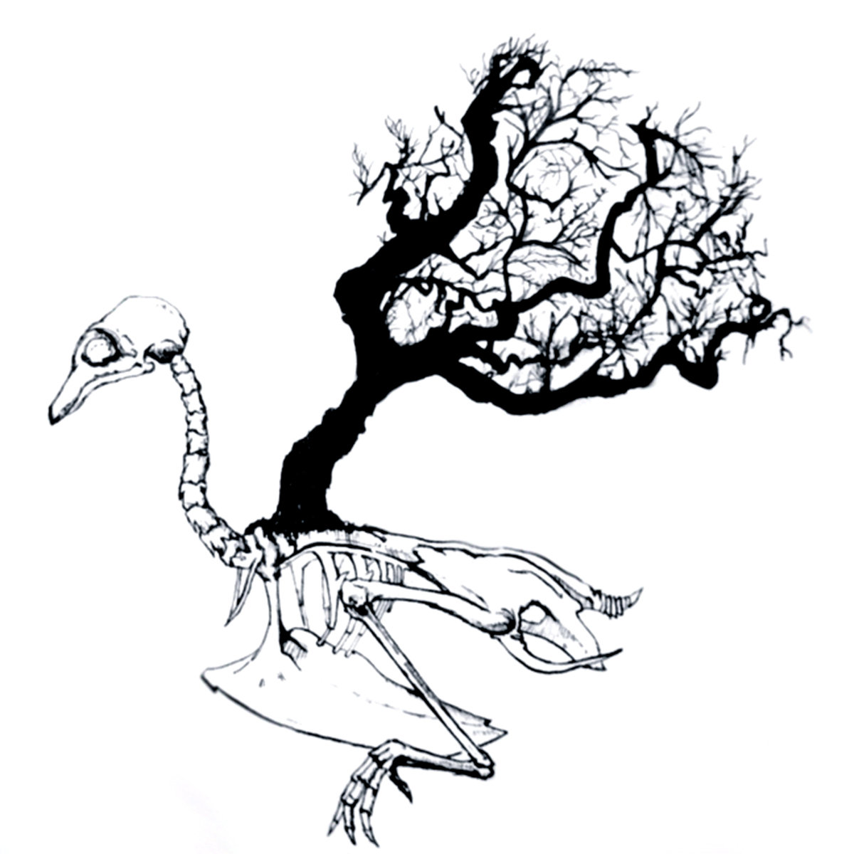 1200x1200 the slaughter waltz hemlock records