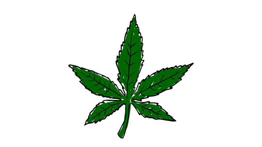 852x480 hemp drawing stock video footage