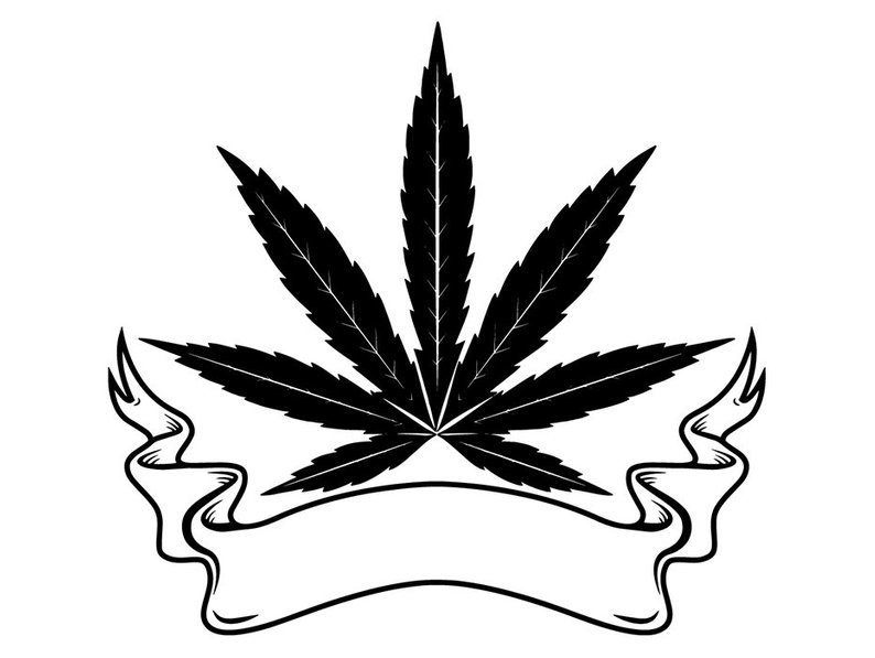 794x597 Marijuana Leaf Logo Medicine Cannabis Pot Weed Smoking Etsy