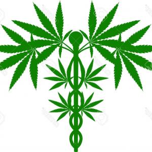 300x300 Photostock Vector Vector Cannabis Leaf Illustration Green Plant