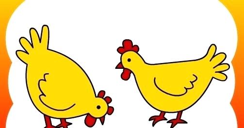 503x264 How To Draw A Hen Step