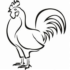 292x292 Image Result For Drawing Of Hen And Chicks Hens Chicken