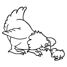 230x230 Top Free Printable Cute Chicks Coloring Pages Online
